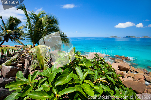 Image of Beautiful rocky coast in Seychelles