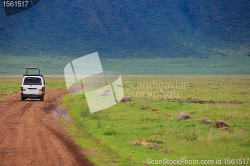 Image of Game drive