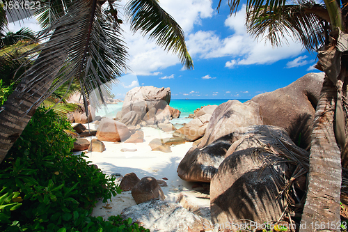 Image of Secluded beach in Seychelles