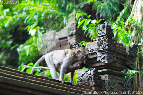 Image of Details of temple in Ubud monkey forest