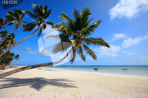 Image of Tropical beach