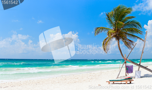 Image of Beautiful Caribbean beach