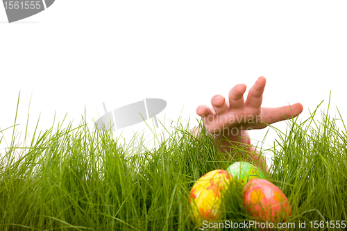 Image of Easter egg hunt