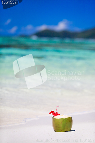 Image of Coconut on tropical beach