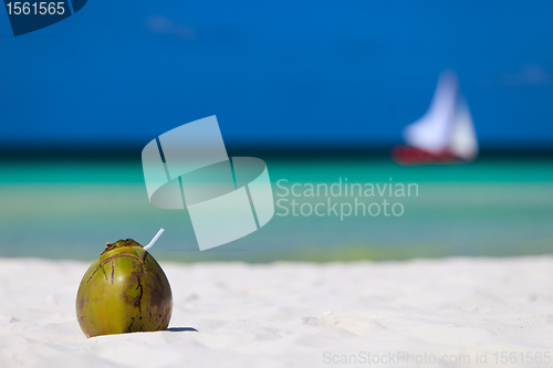 Image of Coconut