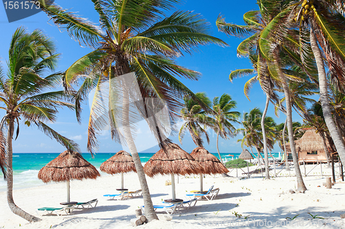 Image of Caribbean coast