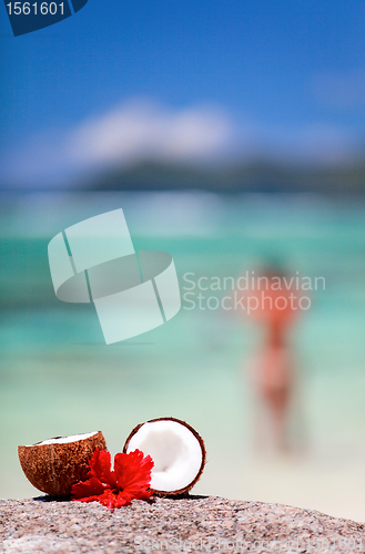 Image of Coconut on tropical beach