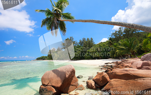 Image of Perfect beach in Seychelles