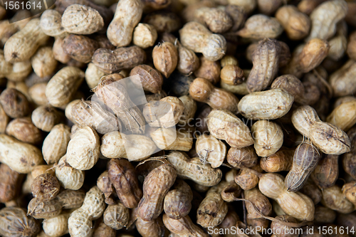Image of Peanuts