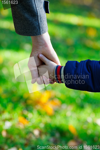 Image of Father and son hands