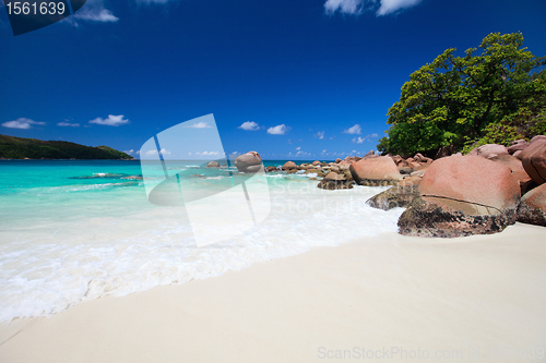 Image of Stunning tropical beach