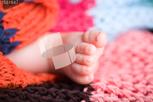 Image of Baby feet
