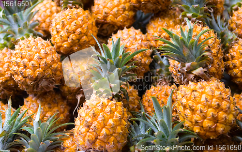 Image of Pineapple