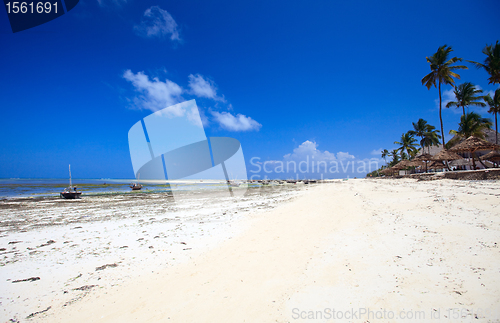 Image of Tropical beach