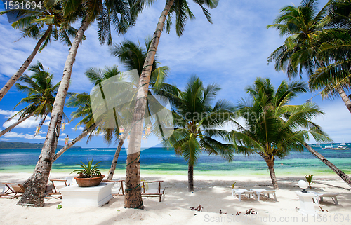 Image of Perfect tropical beach with palm trees