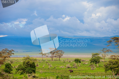 Image of Landscape of Ngorongoro crater in Tanzania