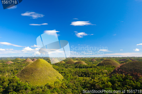 Image of Bohol Chocolate Hills