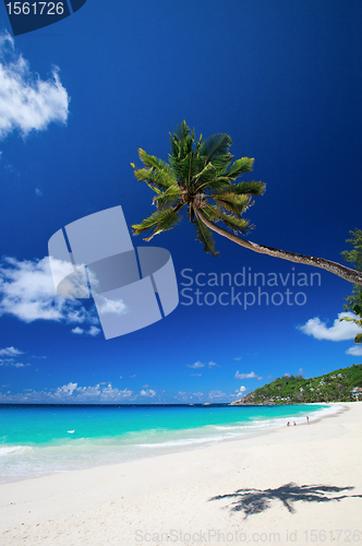 Image of Perfect beach in Seychelles