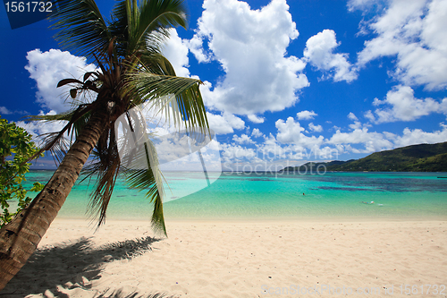 Image of Stunning beach in Seychelles