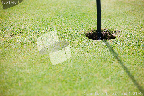 Image of Golf Macro