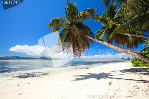 Image of Perfect beach in Seychelles