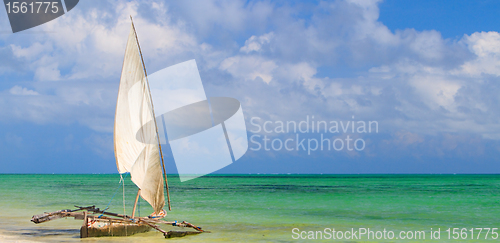 Image of Tropical beach