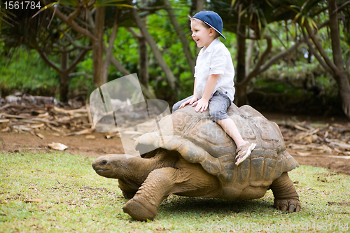 Image of Riding Giant Turtle