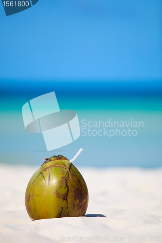 Image of Coconut