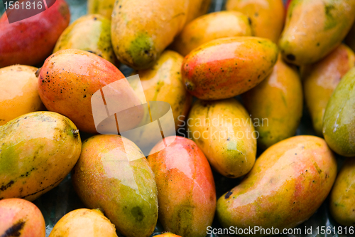 Image of Mango
