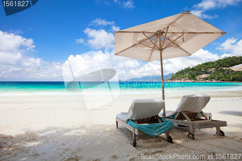 Image of Tropical Paradise