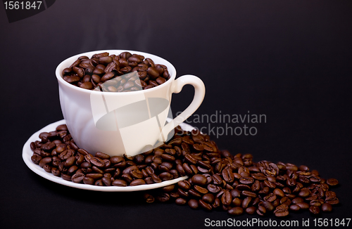 Image of Coffee beans