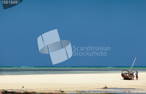 Image of Tropical beach