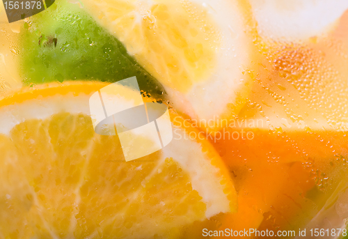 Image of Citrus Ice Water