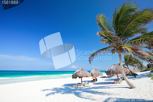 Image of Beautiful Caribbean beach