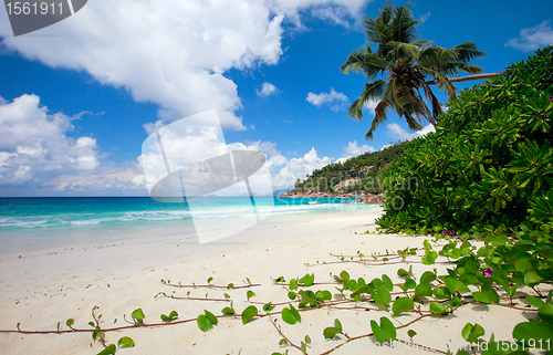 Image of Perfect beach in Seychelles