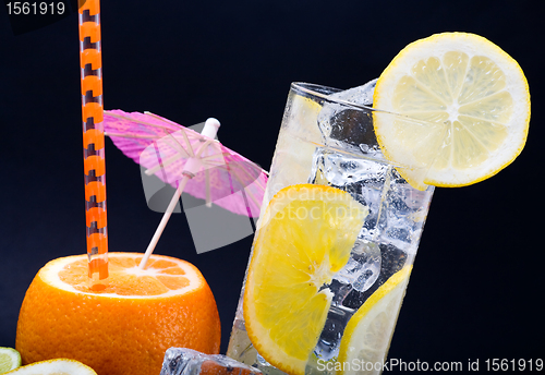 Image of Citrus Ice Water