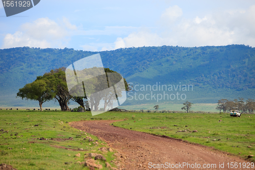 Image of Game drive