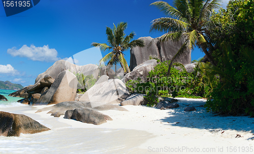 Image of Anse Source d Argent beach