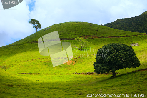 Image of Eco Tourism