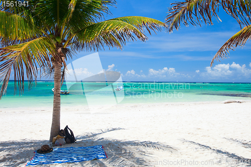 Image of Tropical beach in Mexico