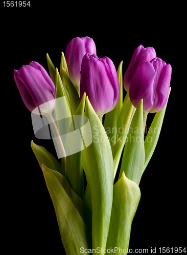 Image of Spring bouquet