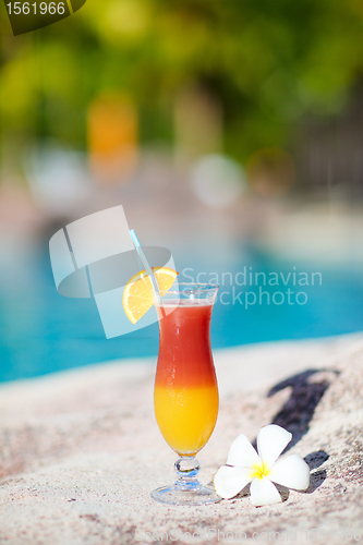 Image of Tropical cocktail and frangipani flower