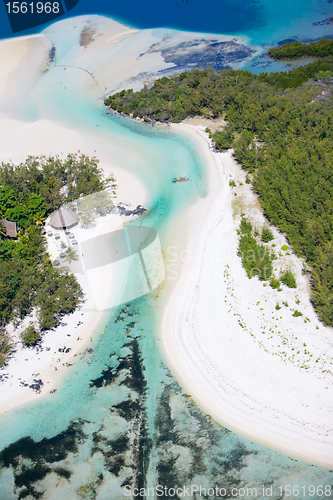 Image of Tropical beach