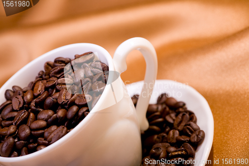 Image of Coffee beans