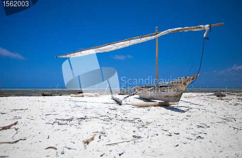 Image of Tropical beach