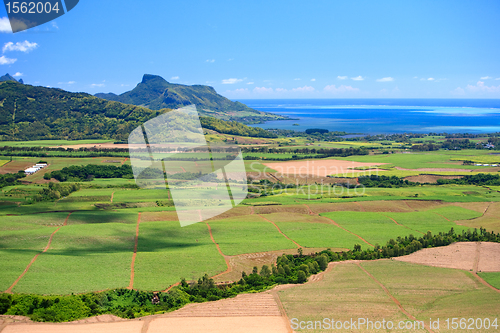 Image of Mauritius