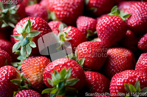 Image of Fresh strawberries