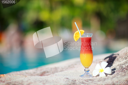 Image of Tropical cocktail and frangipani flower