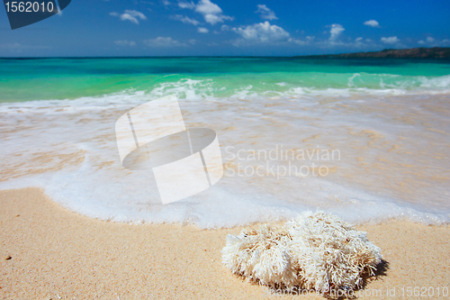 Image of Perfect tropical beach