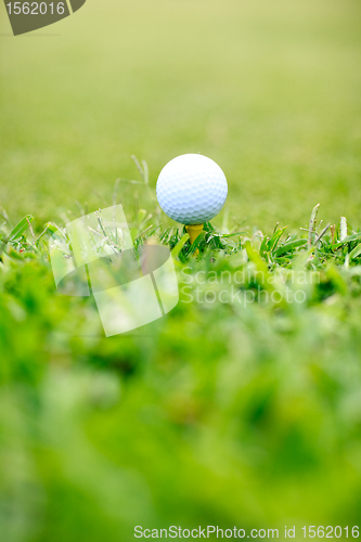 Image of Golf